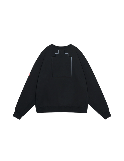 AS Cdisc2_1 CREW NECK