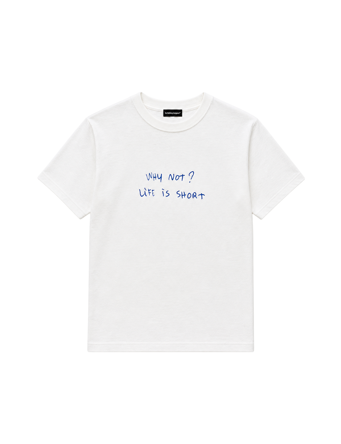 Do Nothing Congress Thomas Lelu for DNC WHY NOT? LIFE IS SHORT