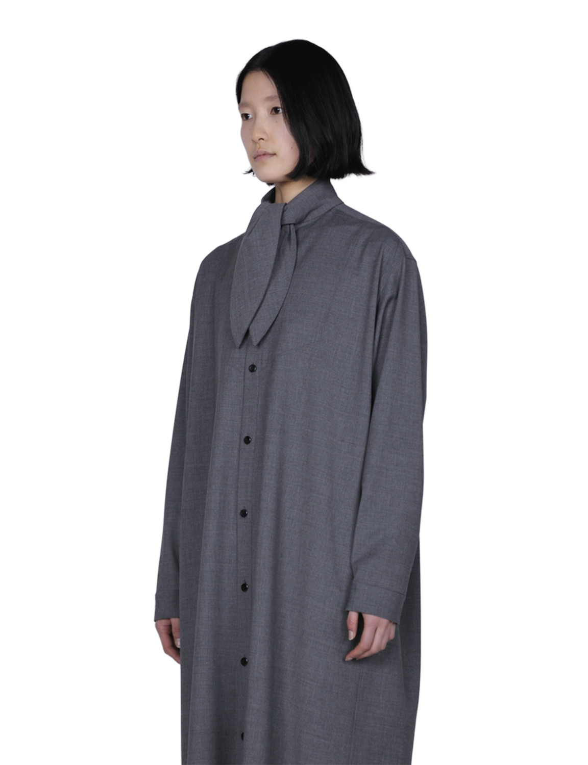 Scarf Collar Dress