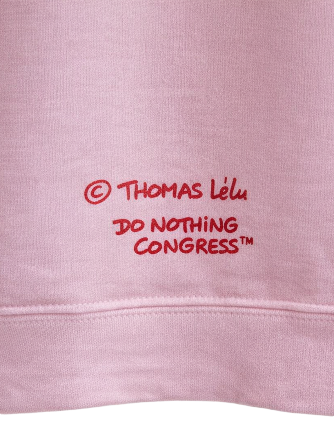BLOOM IN CHAOS P/O HOODIE